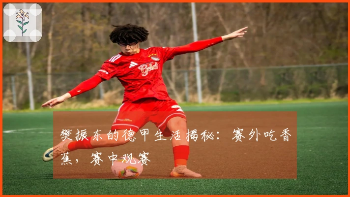 樊振东的德甲生活揭秘：赛外吃香蕉，赛中观赛