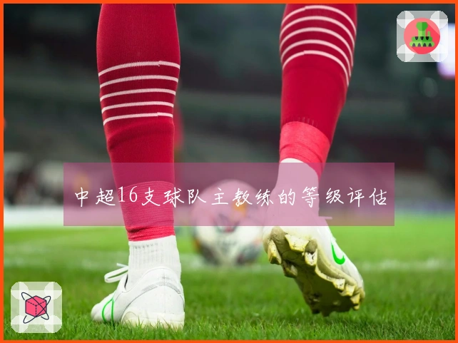 中超16支球队主教练的等级评估