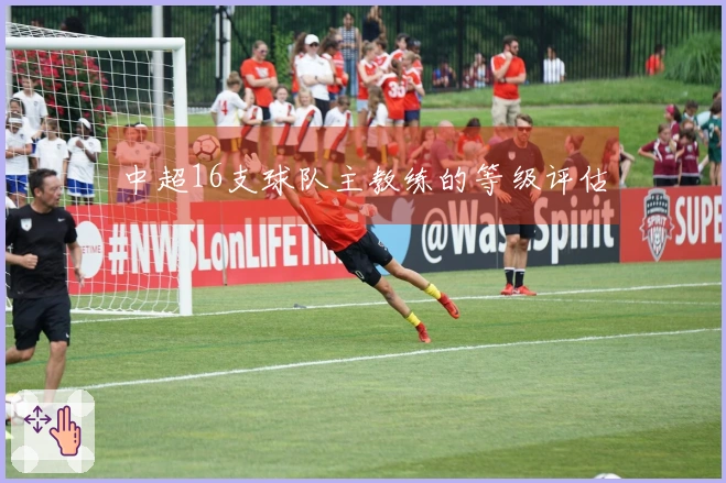 中超16支球队主教练的等级评估